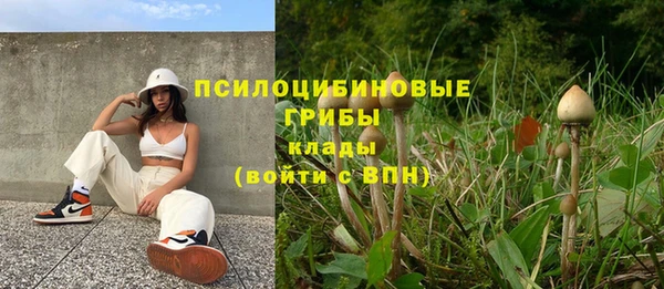 винт Пересвет