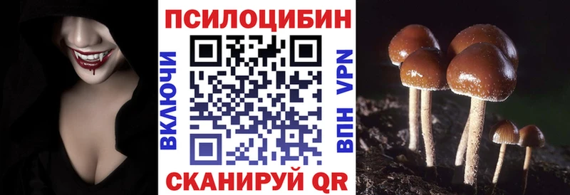Псилоцибиновые грибы MAGIC MUSHROOMS  наркота  Невьянск 